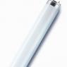 Лампа люминесцентная L 18W/865 LUMILUX 18Вт T8 6500К G13 смол. OSRAM 4058075693098