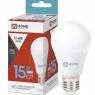 Лампа светодиодная низковольтная LED-MO-PRO 15Вт грушевидная 6500К холод. бел. E27 1200лм 12-48В IN HOME 4690612036366