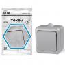 Выключатель 1-кл. ОП Dita IP54 10А 250В сер. TOKOV ELECTRIC TKL-DT-V1-C06-IP54