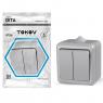 Выключатель 2-кл. ОП Dita IP54 10А 250В сер. TOKOV ELECTRIC TKL-DT-V2-C06-IP54