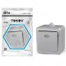 Выключатель 1-кл. ОП Dita IP54 10А 250В с индикацией сер. TOKOV ELECTRIC TKL-DT-V1I-C06-IP54