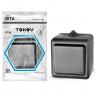 Выключатель 1-кл. ОП Dita IP54 10А 250В карбон TOKOV ELECTRIC TKL-DT-V1-C14-IP54