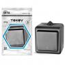 Переключатель 1-кл. ОП Dita IP54 10А 250В карбон TOKOV ELECTRIC TKL-DT-P1-C14-IP54