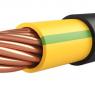 Кабель TOKOV ELECTRIC ВВГнг(А)-LS 1х95 МК (PE) 1кВ Ж/З (м) 000015914