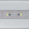 Светильник светодиодный 95 294 NEF-21 5Вт 300лм 220-240В IP20 акк. LiFePO4 1800мА.ч аварийно-эвакуационный NAVIGATOR 95294