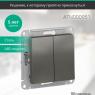 Выключатель 2-кл. СП AtlasDesign 10А IP20 (сх. 5) 10AX механизм сталь SE ATN000951