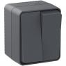 Выключатель 2-кл. ОП AtlasDesign PROFI IP54 10AX антрацит SE ATN544051