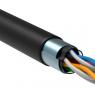 Кабель витая пара F/UTP кат.5E 4х2х24AWG solid CU LDPE Outdoor черн. (м) GENERICA BC3-C5E04-339-305-G