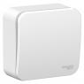 Выключатель 1-кл. ОП Blanca 6А IP20 (сх. 1) 250В с изолир. пластиной бел. SE BLNVA061011