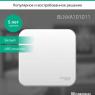 Выключатель 1-кл. ОП Blanca 10А IP20 (сх. 1) 250В с изолир. пластиной бел. SE BLNVA101011
