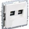 Розетка компьютерная двойн. СП RJ45 кат.5E BRITE РК10-2-БрБ механизм бел. IEK BR-K20-1-K01