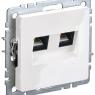 Розетка двойная СП RJ11+RJ45 кат.5E BRITE РК/Т12-БрБ механизм бел. IEK BR-KT20-O-1-K01