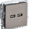 Розетка BRITE USB A+A 3.1А РЮ10-1-БрШ механизм шампань IEK BR-U21-D31-K37