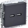 Розетка BRITE USB A+A 3.1А РЮ10-1-БрГ механизм графит IEK BR-U21-D31-K53