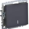 Выключатель 1-кл. СП BRITE ВС10-1-1-БрГ 10А с индик. механизм графит IEK BR-V10-1-10-K53